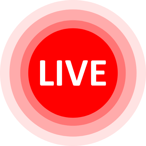 Stripchat Xhamster